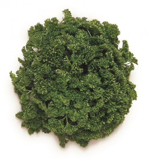 Curled Parsley 25 GR.