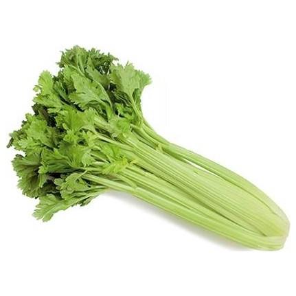 Celery(American)