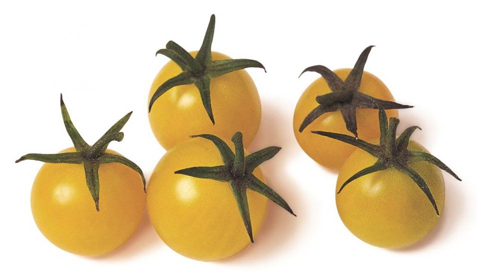Baby Yellow Cherry Tomatoes 250 GR.